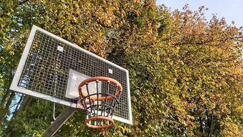 Basketballkorb im Herbst